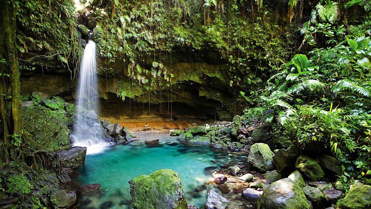 Dominica