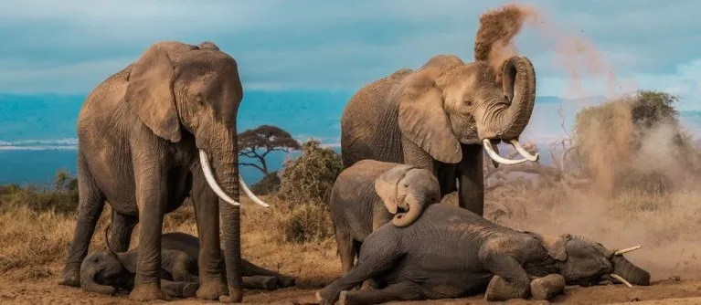 Uganda