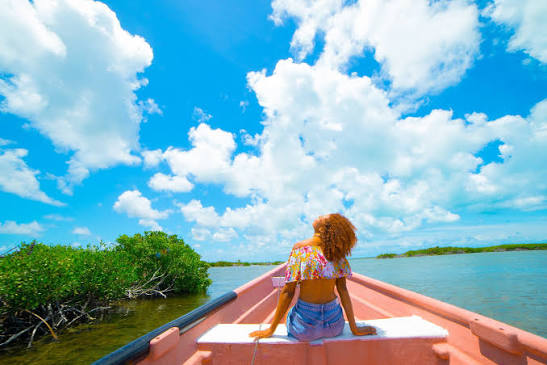 Antigua and Barbuda Landscape