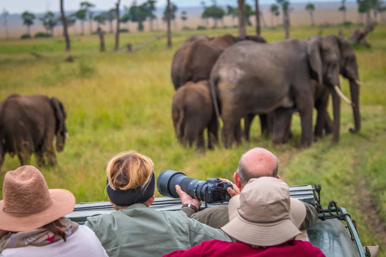 Travelers watching elephants from an open safari vehicle